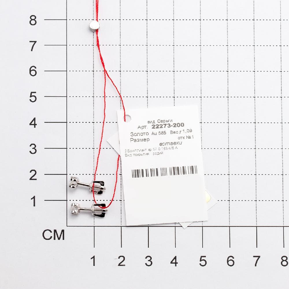 Picture of the author