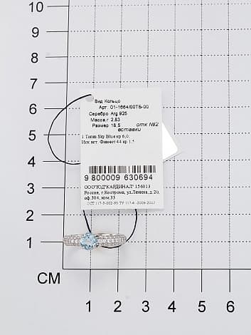 Picture of the author