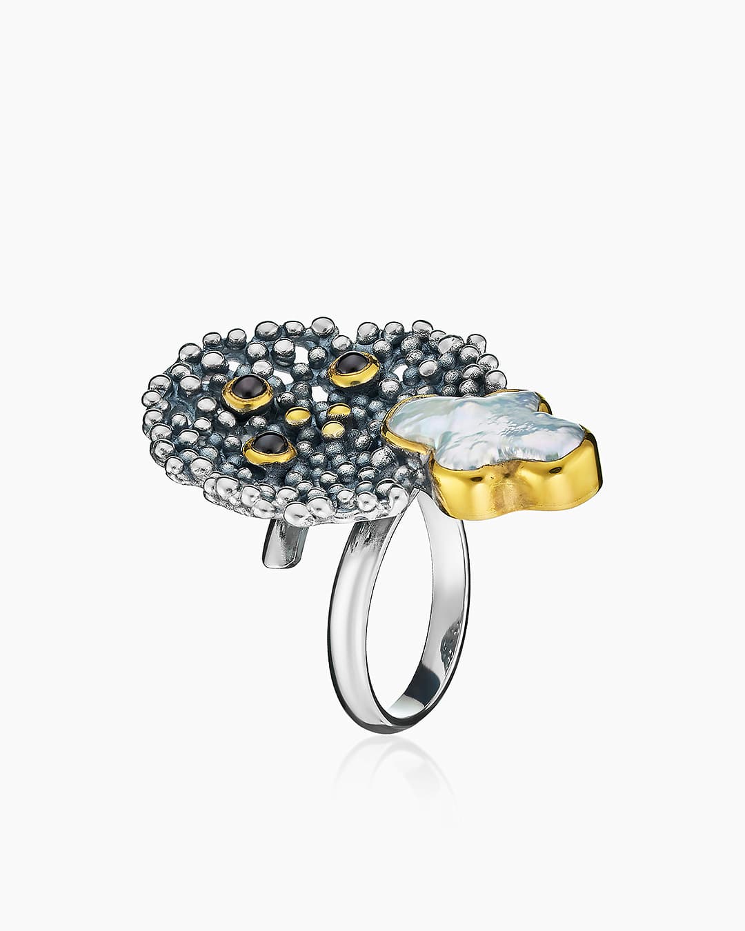 Picture of the author