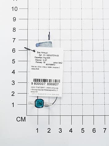 Picture of the author