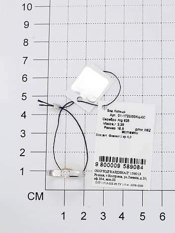 Picture of the author