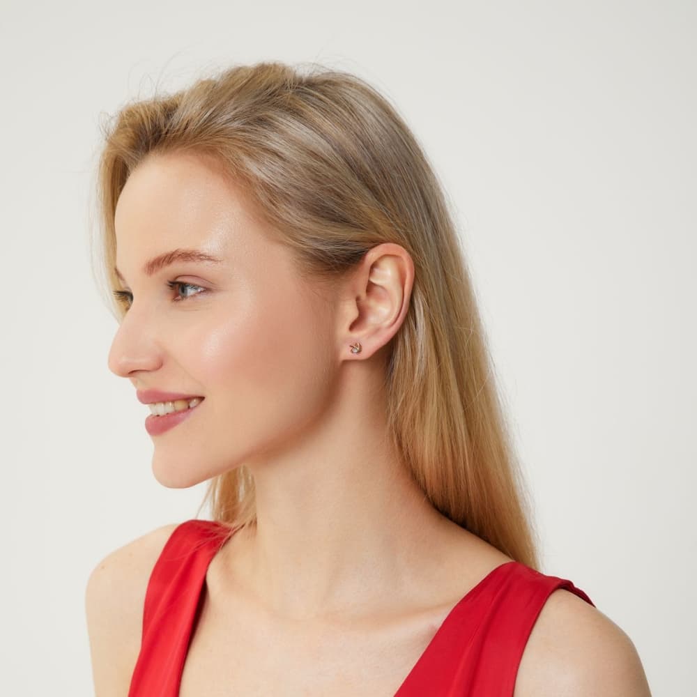 Picture of the author