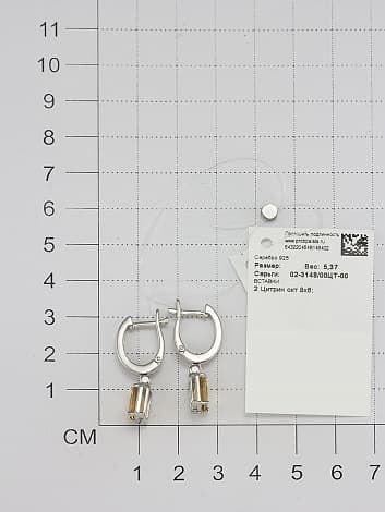 Picture of the author