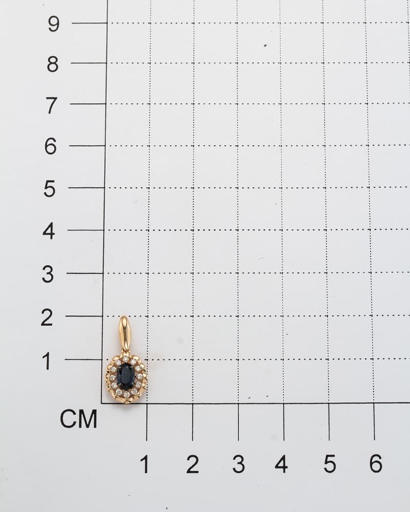 Picture of the author