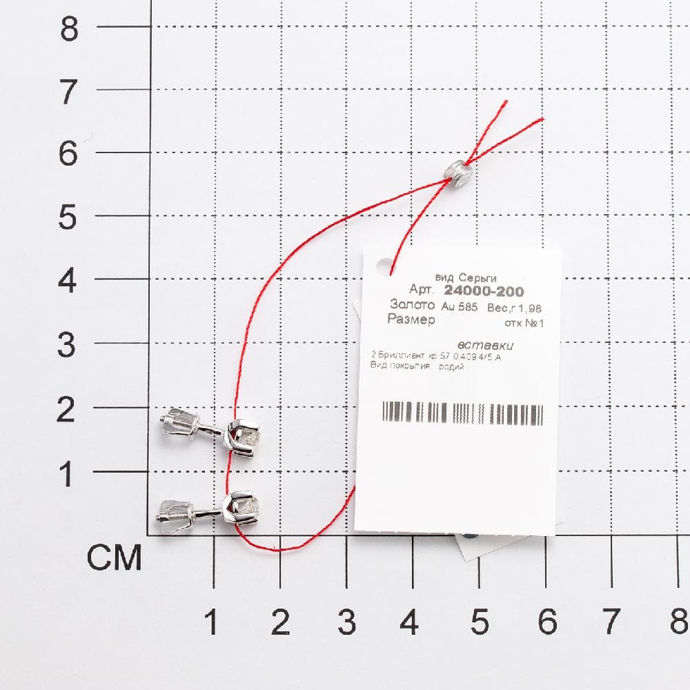 Picture of the author